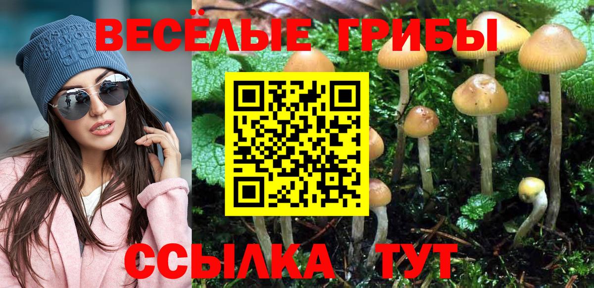 Галлюциногенные грибы мухоморы Удомля