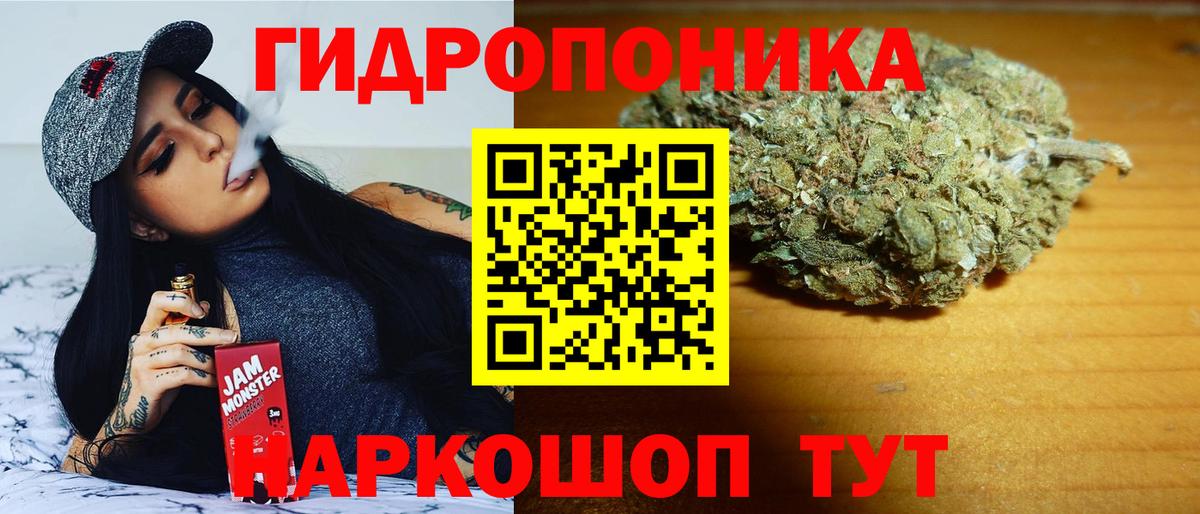 Каннабис план  Бошки Шишки план  Удомля  Вход с VPN  Конопля Amnesia  Бошки марихуана индика 